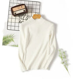 style turtleneck sweater women's unadorned slim solid color rib knit long sleeve bottoming Jumpers pullover female