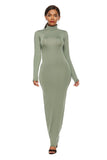 Polyester Spandex Fashion Solid Color Long Sleeve Stretch Slim Turtleneck