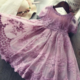 Dress Embroidery Princess Party Autumn Spring Kids Children Clothes Elegant Purple And White 3-8ys Lace Girls