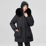 Send To Overcome The New Female Winter Korean Version Of The Waist Show Thin Hooded Big Hair Collar And Wool And Thick Short Jacket Cotton-Padded Jacket-Outfit