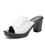 Women Slipper's 2021 Ladies Summer Slippers Genuine Leather Shoes Women High Heels Fashion Summer