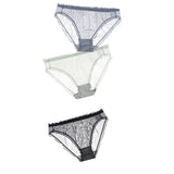 Women Sexy Panties Lace Underpants Low-waist Panties Mesh See Through Perspective Briefs Female Fashion Underwear