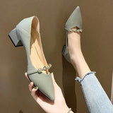 Wind Four Seasons Shoes 2025 Summer New High Heels In The Tip Of The Thick Heel With Skirt Low Single