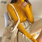 knitted women soft pullover sweater Long sleeve top turtleneck female sweater Chic ladies casual bestmatch jumper