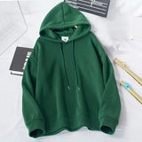 Women Hoodie Sweatshirts New Spring Autumn Ladies Casual Oversize Pullovers Flannel Solid Warm Hooded Jackets