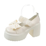 Mary Jane Platform Heighten Loafs Women 2025 New Casual Fashion Versatile Pedal Niche Women's
