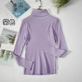 Basic Turtleneck Women Sweaters Autumn Winter Thick Warm Pullover Slim Tops Ribbed Knitted Sweater Jumper Soft Pull