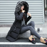 2024 New Color Big Hair Collar Long Women's Cotton-Padded Coat Fashion Slim Korean Version Cotton-Padded Coat-Outfit