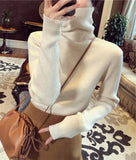 Winter Turtleneck Sweater Women Knitted Ribbed Pullover Sweater Long Sleeve Slim Jumper Pull Femme