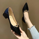 Wind Four Seasons Shoes 2025 Summer New High Heels In The Tip Of The Thick Heel With Skirt Low Single