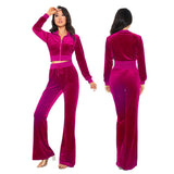 Women's Autumn 2023 New Women's Suit Leisure Fashion Velvet Cardigan Slim Two-Piece
