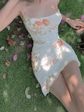 Backless Floral Mesh Mini Dress- Outfit