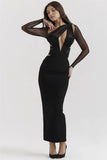 Mesh Long Sleeve Bodycon Deep Neck Maxi Dress-Outfit