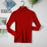 Basic Turtleneck Women Sweaters Autumn Winter Thick Warm Pullover Slim Tops Ribbed Knitted Sweater Jumper Soft Pull