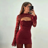 Mesh Lace Turtleneck Sleeve Mini Dress-Outfit