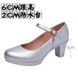 Head Buckle Waterproof Table 8CM High Heel Women's Shoes Thick-Soled Model Show Shoes Coarse Heel Work Shoes Silver Single