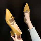 Wind Four Seasons Shoes 2025 Summer New High Heels In The Tip Of The Thick Heel With Skirt Low Single