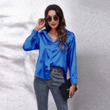 Shirt Women's Denswear Simulation Silk Long-Sleeved Shirt New Women's
