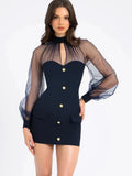 Sheer Long Sleeve Mock Neck Bodycon Mini Dress- Outfit