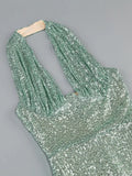 Halter Deep V Neck Sequin Maxi Dress- Outfit