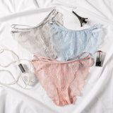 Hot Lace Transparent Panties New Sexy Women Underwear Lingerie Briefs High Quality Low Waist Women's Underpantes