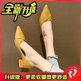 New Pointed Thick Heel High Heels Women 2025 French Solid Color Bist Increase Single Shoes Small Female