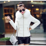 2023 Autumn And Winter New Women's Cotton Coat Short Big Wool Korean Version Of Large Size Women's Cotton Padded Jacket-Outfit
