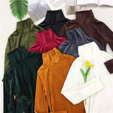 Spring Women Turtleneck T Shirt Tees Warm Thick Velvet T-Shirts Female Bottoming Long Sleeve Shirt
