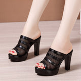 Thick-Heeled Sandals And Slippers For Women 2023 Summer Waterproof Platform Fish Mouth Mesh Large Size 4143 Fashion Sandals And