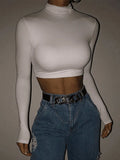 Turtleneck Long Sleeve Crop Top- Outfit