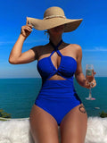 2025 New Bikini Solid Color Sexy High-Waisted Bikini Swimsuit