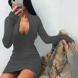 Fashion Women Sexy Bodycon Dress Autumn High Collar Long Sleeve Slim Fitness Dress Elegant Ladies Casual Pencil Dress