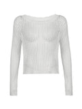 Hollow Out Crochet Long Sleeve Knit Top-Outfit
