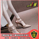 High Heels Women's Fine Heel 2025 New Pointed Shoes Yu Sister Temperament Lady Bun Head Single Shoes Women's