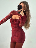 Mesh Lace Turtleneck Sleeve Mini Dress-Outfit