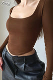 Elegant Women Party Crop Top Square Collar Puff Sleeve Autumn Corset Tops Slim Female Sexy Velevt Cropped Tops