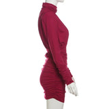 Turtleneck Long Sleeve Puff Pleated Mini Dress- Outfit