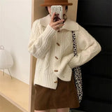 Waxy Twist Turtleneck Cardigan Women's Autumn And Winter New Korean Style Lazy Breeze Loose High Sense Knitted