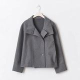 Autumn And Winter New Women's Small Casual Casual Collar Buckle Hairs Of The Short Coat