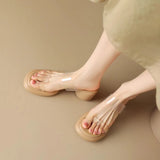 Zi Yan French Transparent High Heel Slippers Summer Women Wear Thick Bottom Thick Heel Comfortable Soft Foot