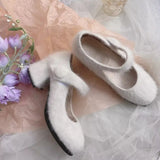 Autumn And Winter New Mink Hair And Velvet Mary Jane High Heels Round Head Thick Heel Simple Lamb Wool Shoes Middle
