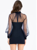 Sheer Long Sleeve Mock Neck Bodycon Mini Dress- Outfit