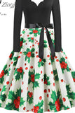 Women Winter Christmas Dress Vintage Santa Printed V-Neck Long Sleeve Swing Sexy Xmas Party Festival Dress