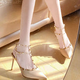 High Heels Women's Fine Heel 2025 New Pointed Shoes Yu Sister Temperament Lady Bun Head Single Shoes Women's