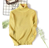 New Autumn and winter high collar sweater Slim Women Sweaters Long-sleeved Thick Turtleneck Sweaters Women