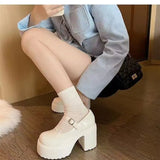 Thick Heel With A Small Leather Shoes Women 2025 Winter New Thick-Sed Retro English Style Mary Jane Single