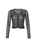 Sheer Lace Long Sleeve Crop Blouse- Outfit