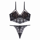 High Quality Bra Set Lingerie Push Up Brassiere Lace Embroidery Underwear Set Sexy Briefs and thongs For Women