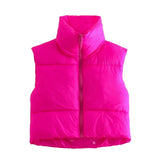 INS 9 Color Double Pocket Standing Collar Cotton Vest 2021 Autumn And Winter New Double Color Slim Cotton Jacket Vest Top-Outfit