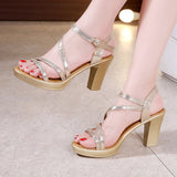 Summer New Sandals Women's Thick Soles Waterproof Table High Heels Thick Heels One-Word Buckle Open Toe Size 43 Sandals